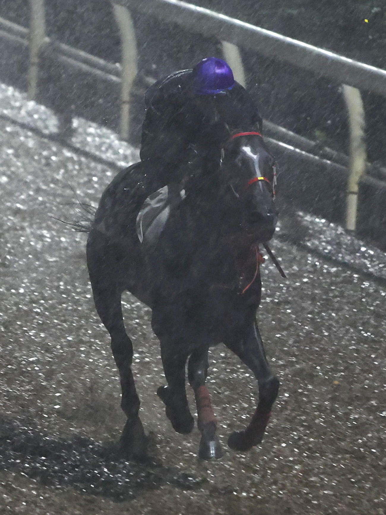 横山典騎手を背に豪雨の坂路で追い切るディヴィナシオン（撮影・白石智彦）