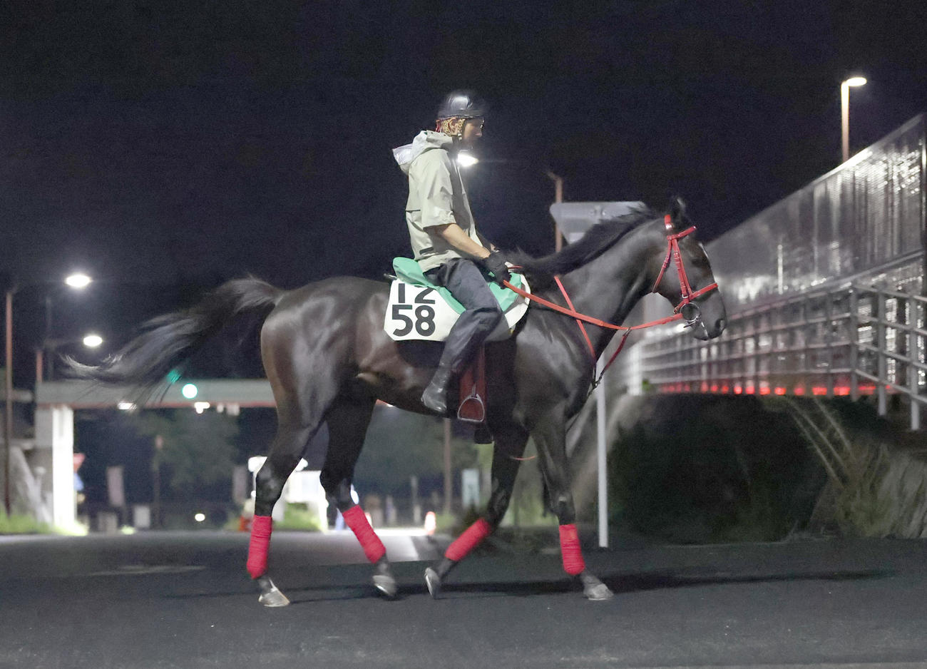 追い切りへ向かうディヴィナシオン