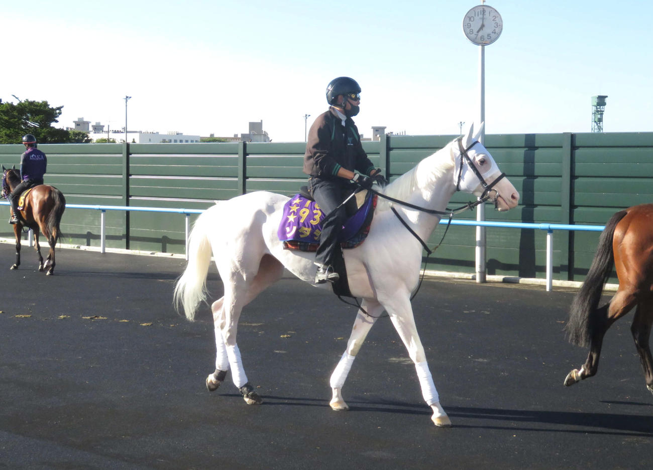 函館競馬場で馬場入りするソダシ
