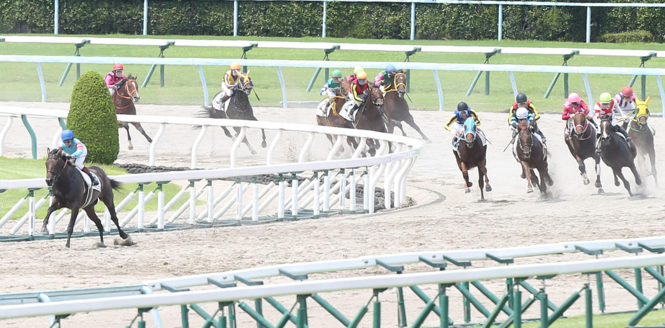 小倉6R新馬で1着のヤマニンウルスと今村聖奈騎手（左）（撮影・屋方直哉）
