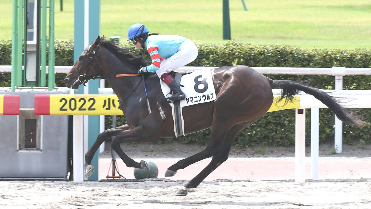 小倉6R新馬で1着のヤマニンウルスと今村聖奈騎手（撮影・屋方直哉）