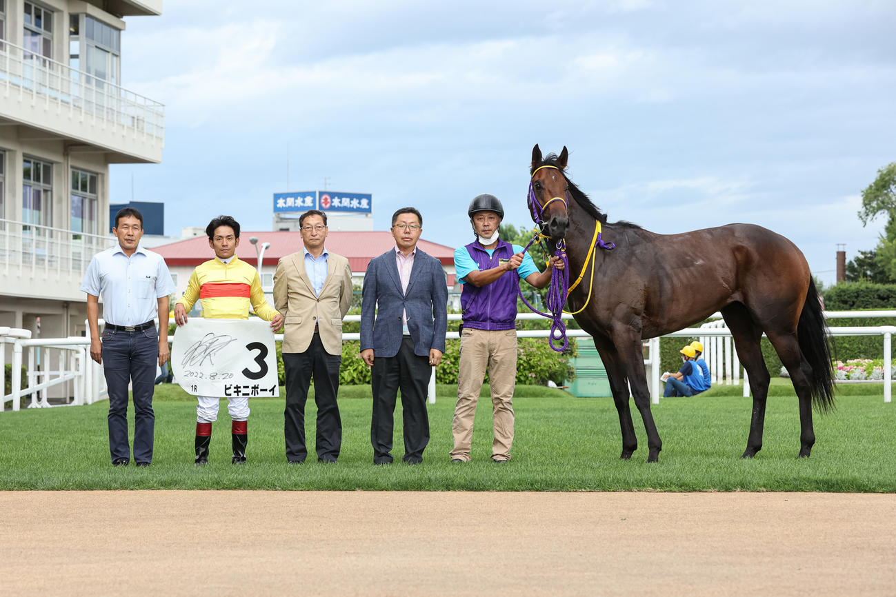 2歳未勝利を勝ち上がったビキニボーイ（撮影・村野早祐）