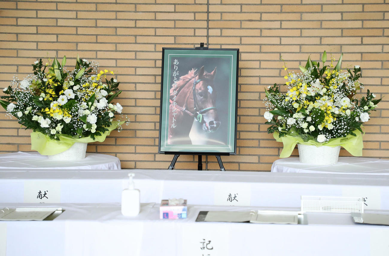 新潟競馬場に設置されたタイキシャトルの記帳台（撮影・鈴木正人）