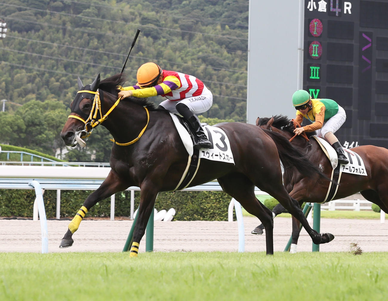 小倉4R 3歳未勝利　1着のスウィートスカーと川田将雅騎手（撮影・屋方直哉）