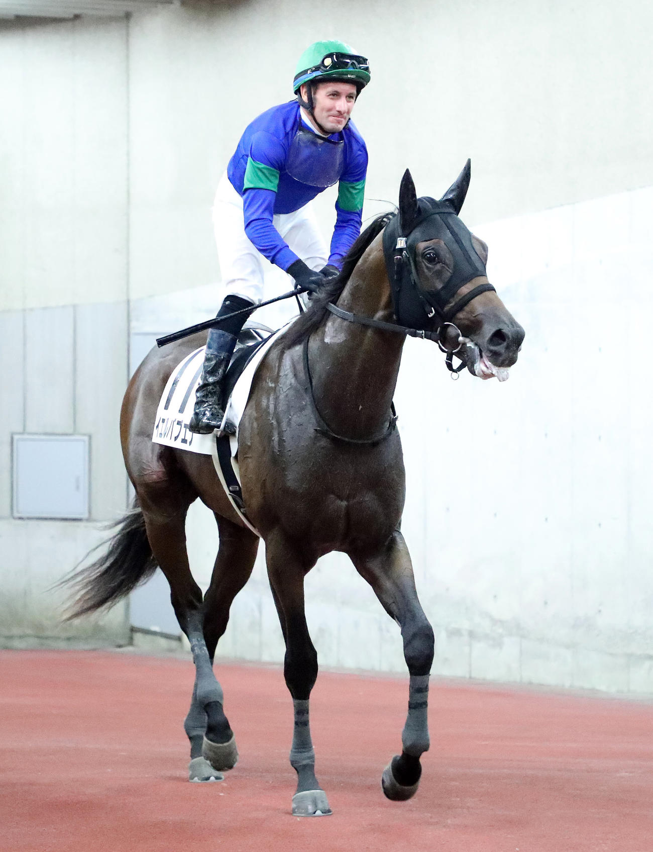 メイクデビュー新潟を制したイエルバブエナとM・デムーロ騎手（撮影・鈴木正人）