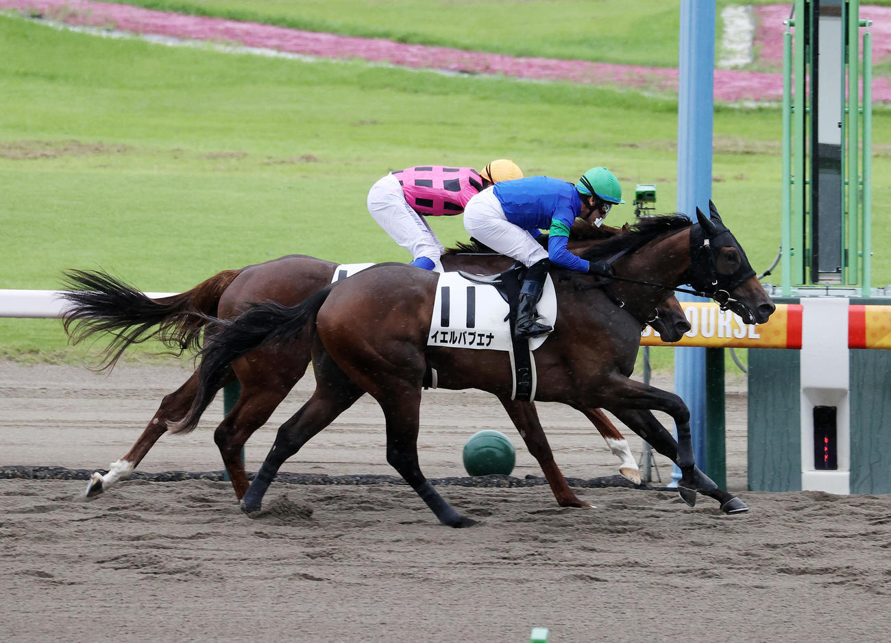 メイクデビュー新潟を制したイエルバブエナ（手前）とM・デムーロ騎手（撮影・鈴木正人）