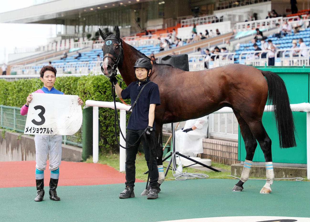 新潟4R障害オープンを制したメイショウアルトと黒岩悠騎手（撮影・鈴木正人）