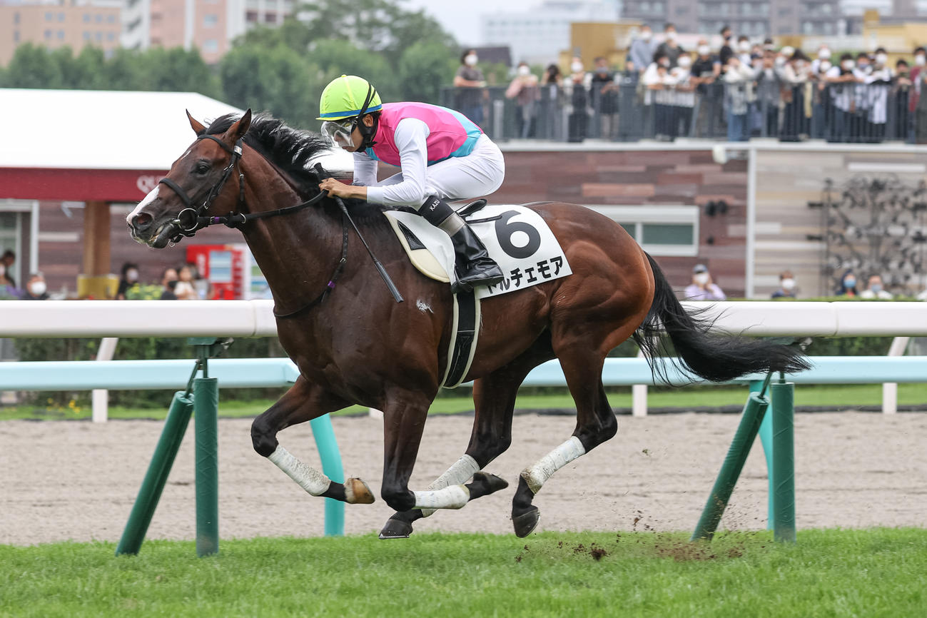 デビュー戦を快勝したドルチェモア（撮影・村野早祐）