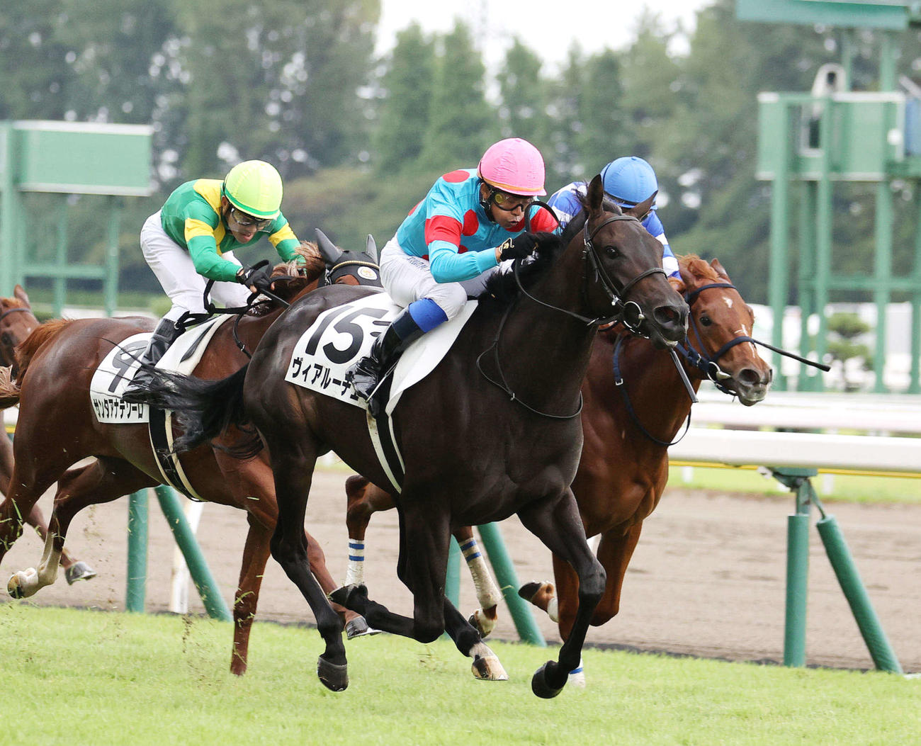 メイクデビュー新潟を制したヴィアルーチェ（中央）と岩田康誠騎手（撮影・鈴木正人）