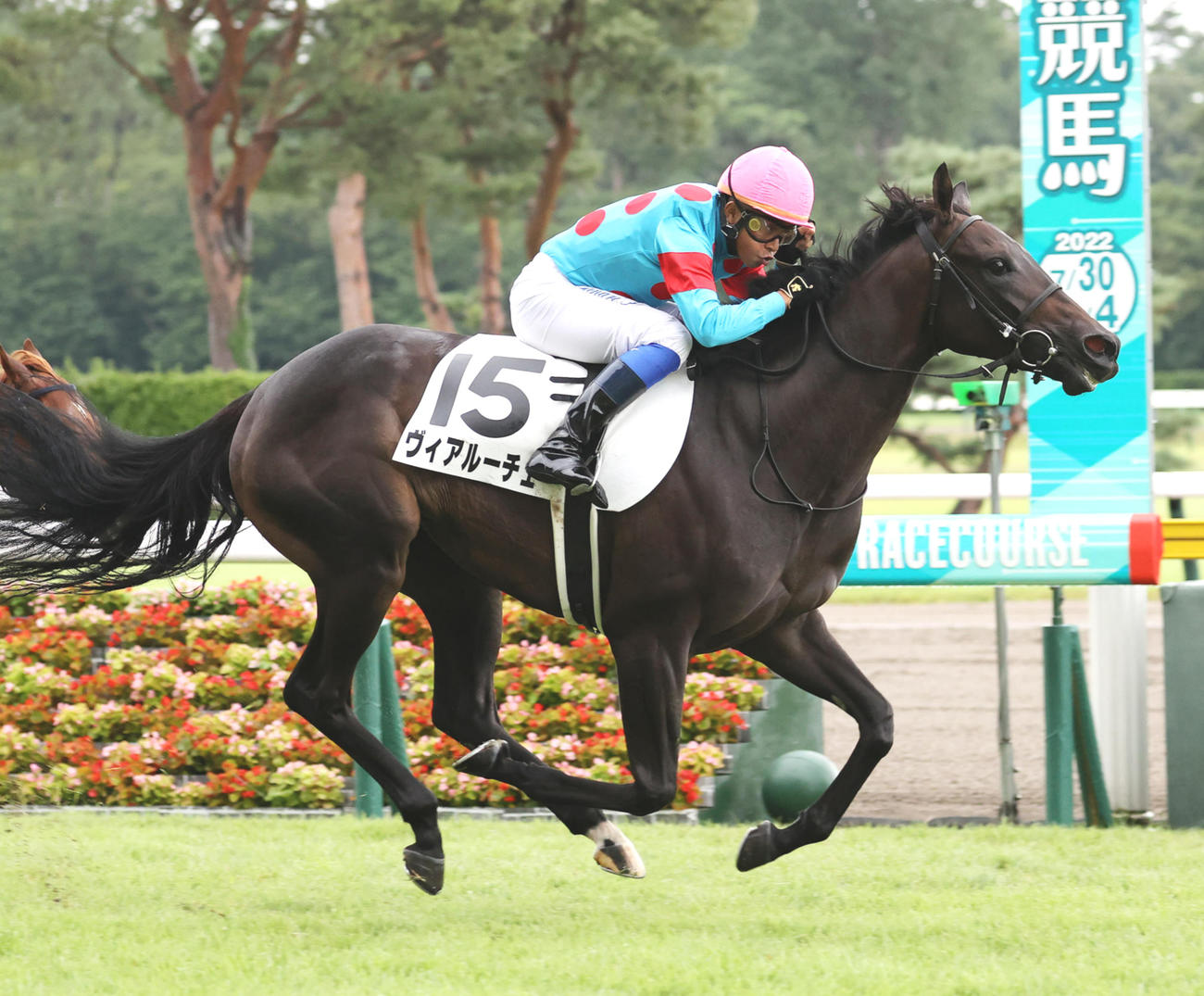 新潟新馬戦を制したヴィアルーチェと岩田康誠騎手（撮影・鈴木正人）