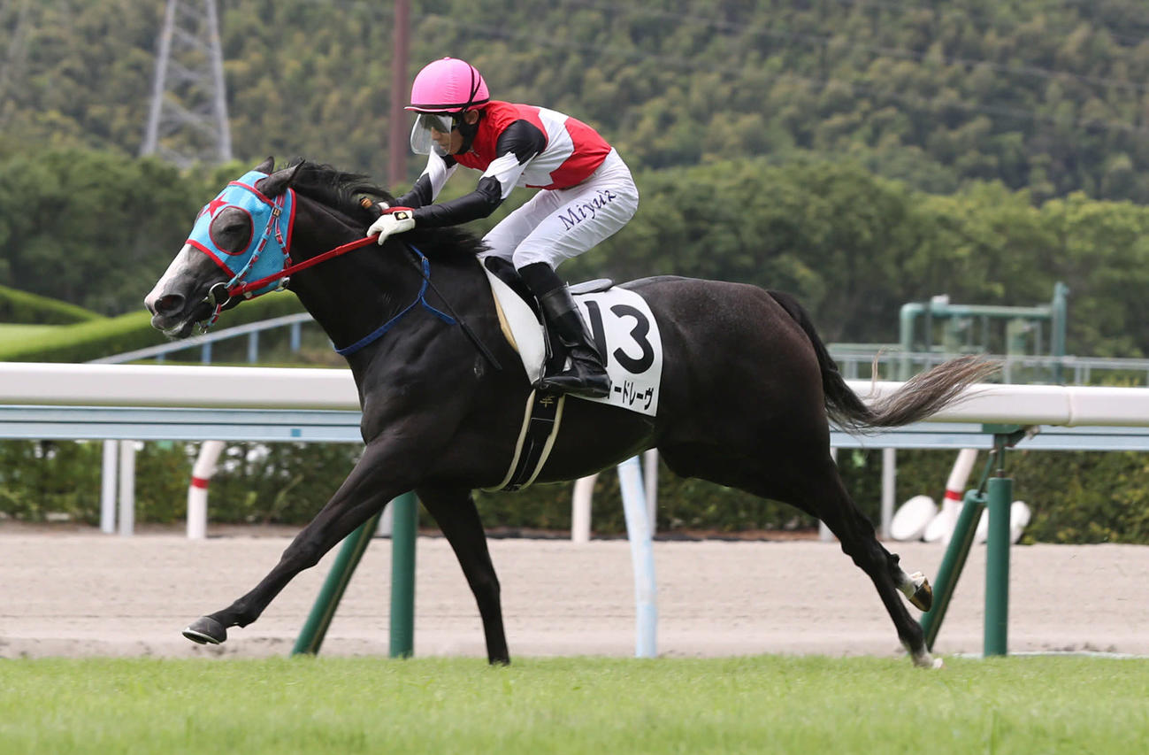 小倉5R 2歳新馬戦を制したシルフィードレーヴと幸英明騎手（撮影・屋方直哉）