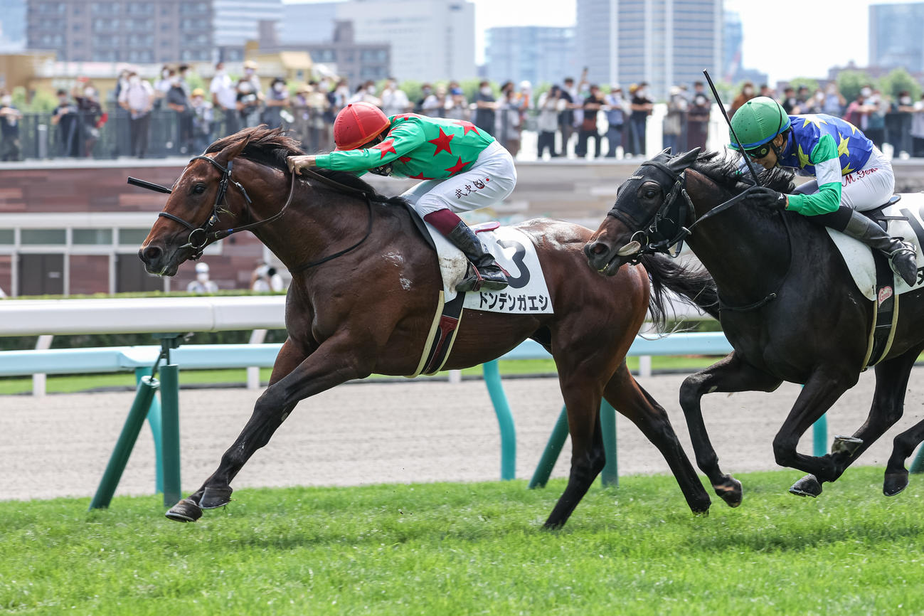2歳未勝利を勝ち上がったドンデンガエシ（撮影・村野早祐）