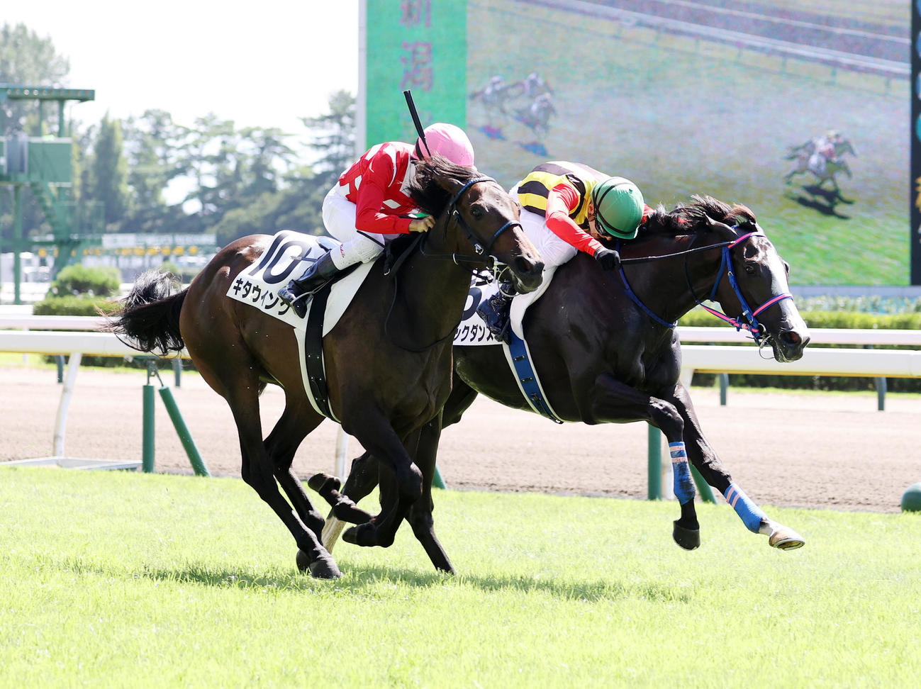2歳未勝利を制したキタウイング（左）と杉原誠人騎手（左）（撮影・鈴木正人）