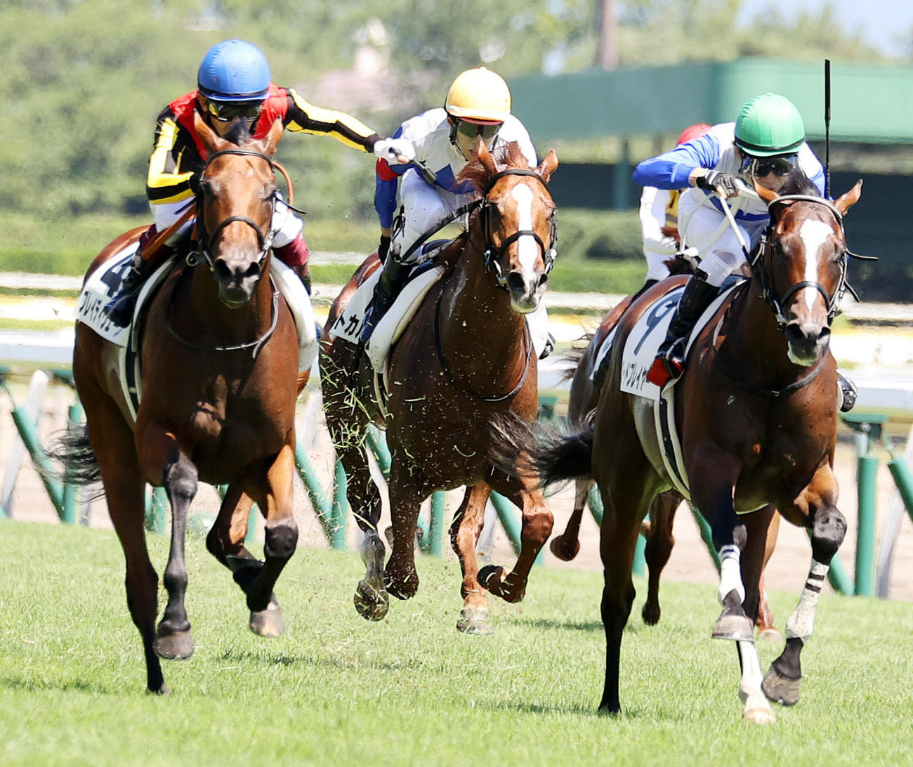 新馬戦を制したロードプレイヤー（右）と田辺裕信騎手（撮影・鈴木正人）