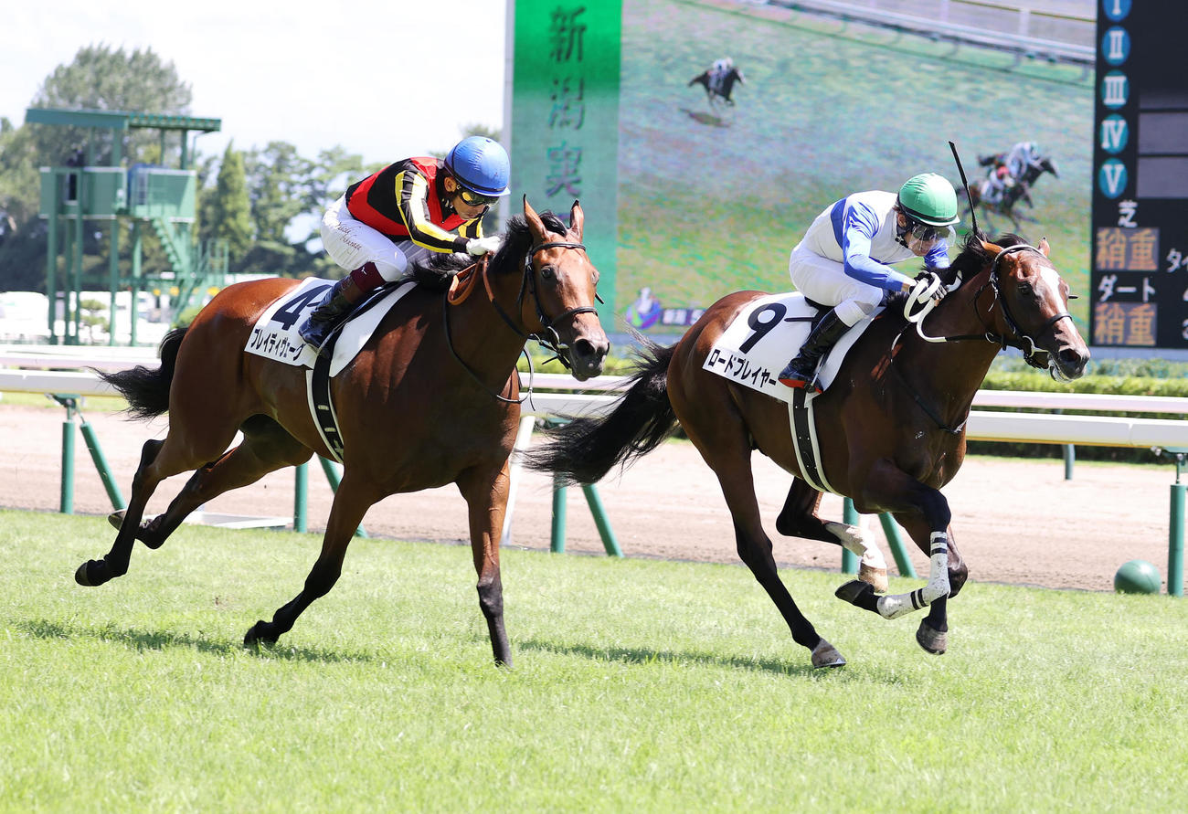 新馬戦を制したロードプレイヤー（右）と田辺裕信騎手（撮影・鈴木正人）