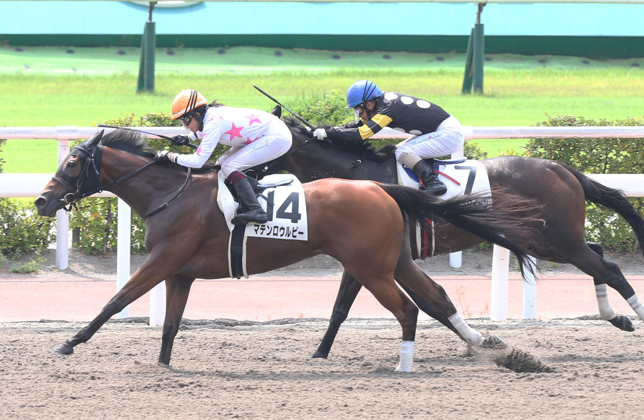 小倉8Rで1着のマテンロウルビーと今村聖奈騎手（手前）（撮影・屋方直哉）