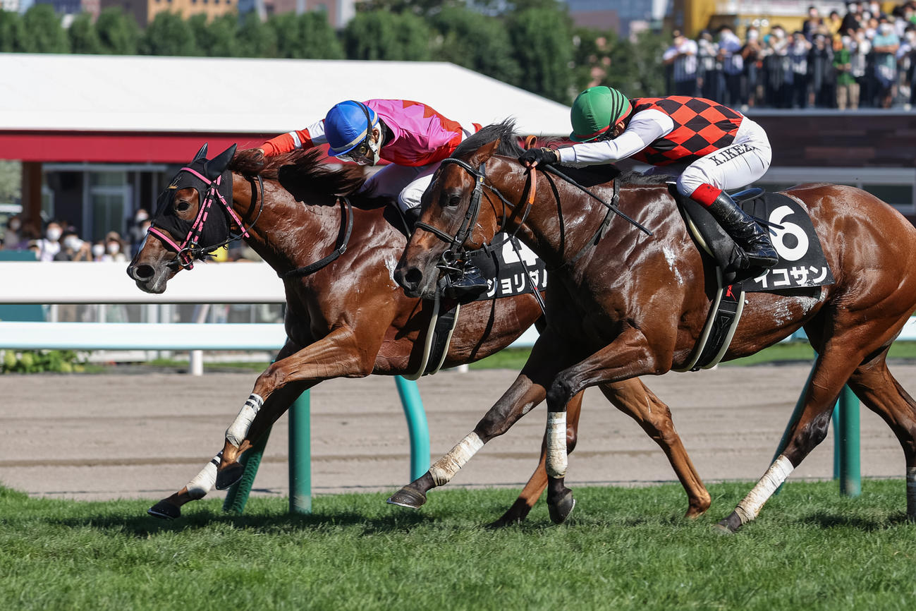 クローバー賞を制した道営馬のジョリダム（左）（撮影・村野早祐）