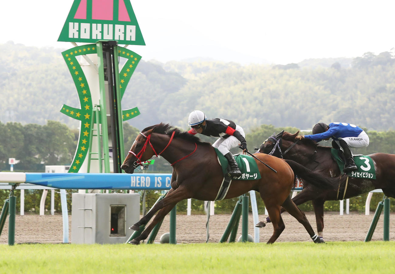 北九州記念を制したボンボヤージと川須騎手（撮影・屋方直哉）