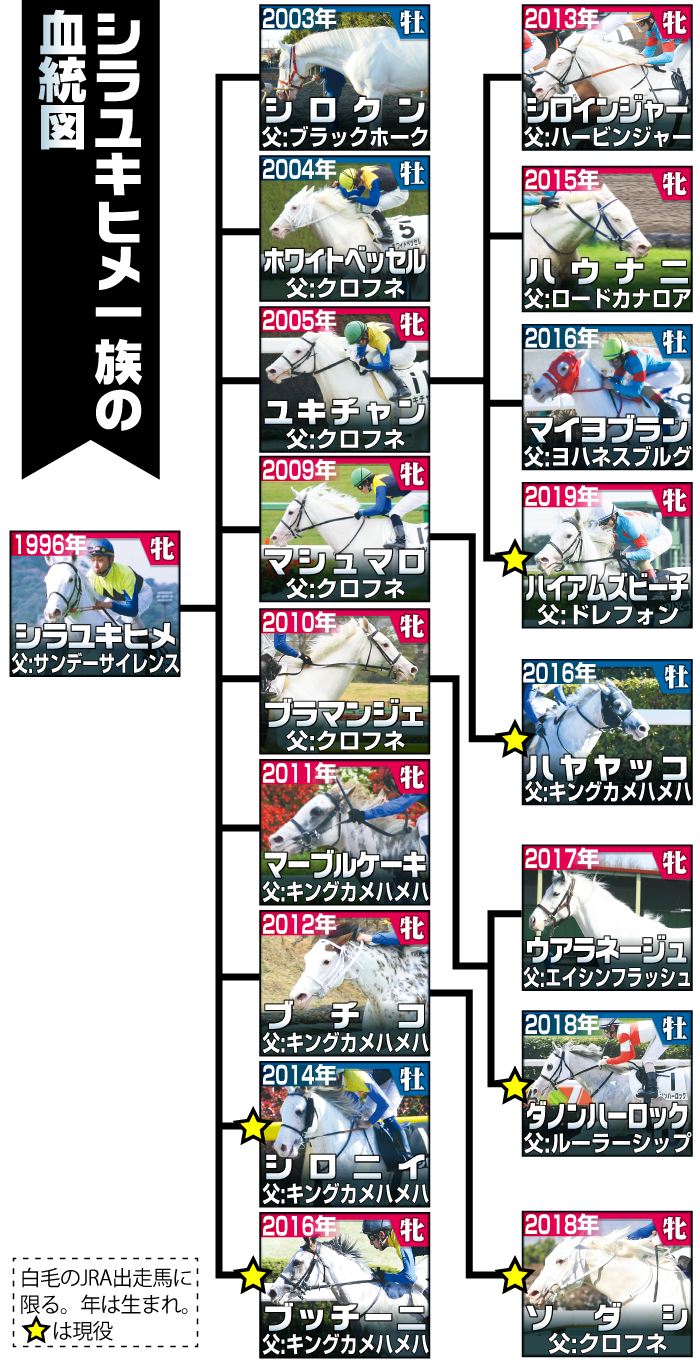 　【イラスト】シラユキヒメ一族の血統図