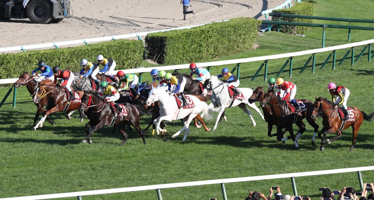 勢いよくスタートするジャックドール（左から2頭目）。中央はソダシ、後方はハヤヤッコ（撮影・黒川智章）