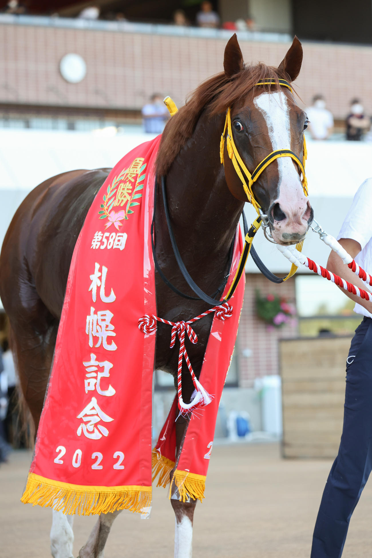 札幌記念を制したジャックドール（撮影・村野早祐）