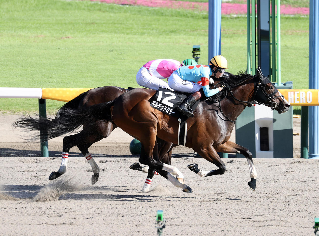 NST賞を制したギルデッドミラー（手前）と三浦皇成騎手（撮影・鈴木正人）