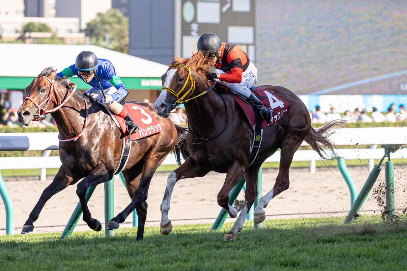 2着惜敗のパンサラッサ（左）。右は札幌記念を制したジャックドール（撮影・村野早祐）