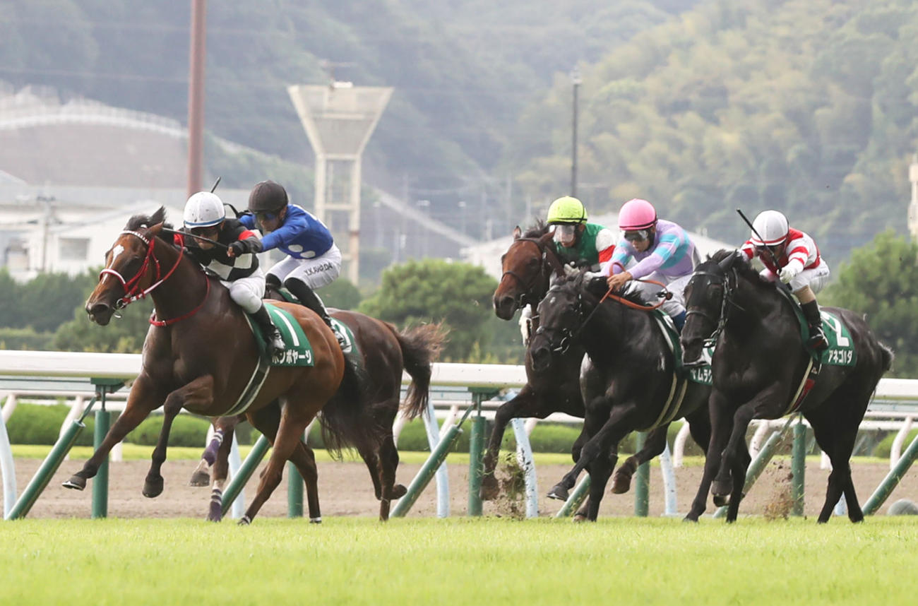 北九州記念3着に敗れたナムラクレア（右から2頭目）（撮影・屋方直哉）