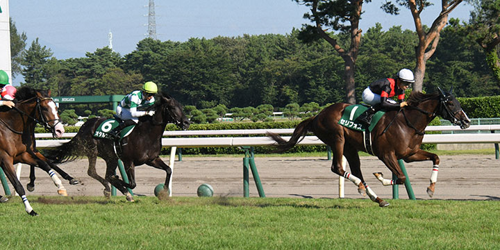 中団の内を追走した3番人気セリフォス（右）が、重賞初制覇を飾った（2021年、新潟競馬場）