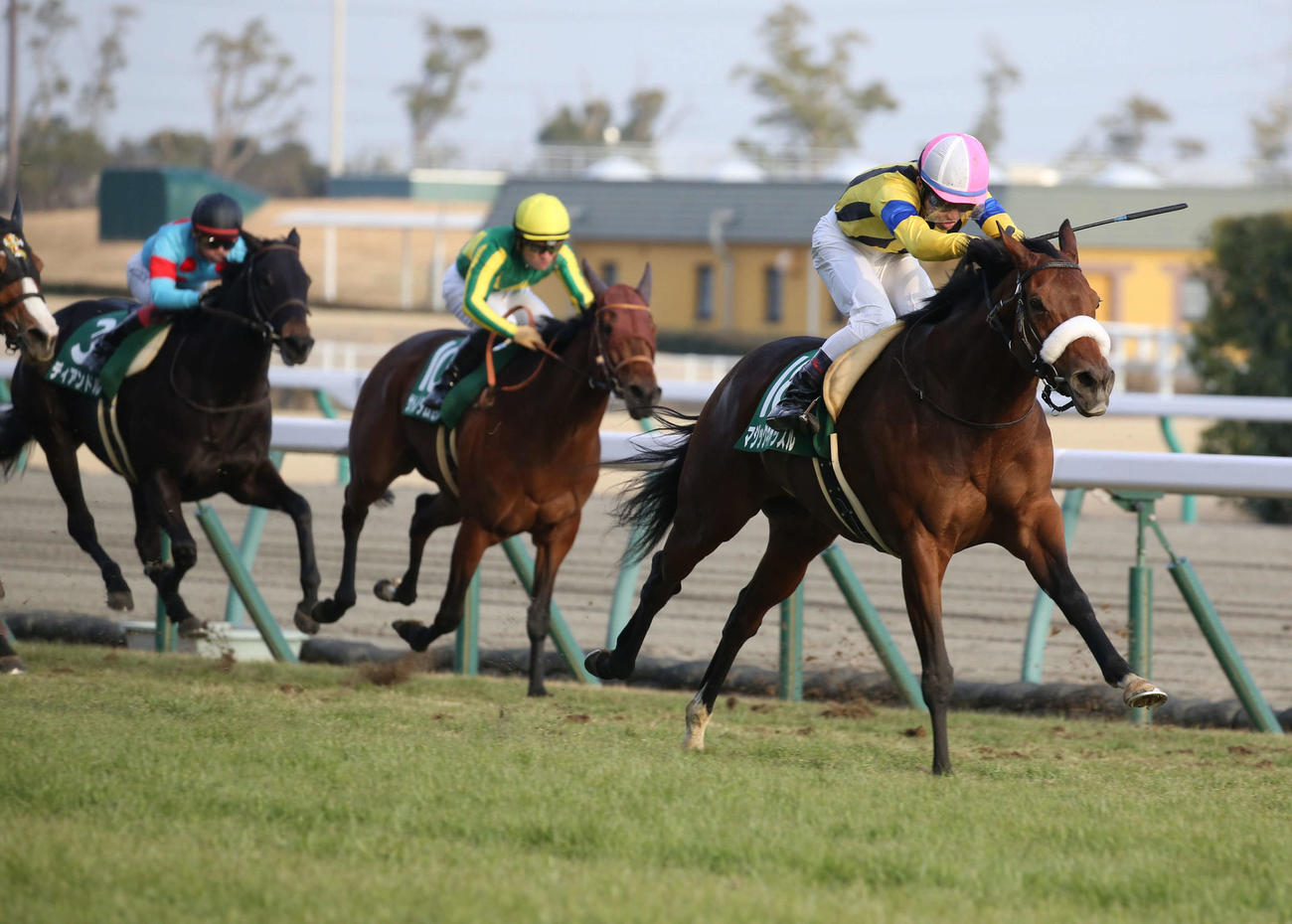 マジックキャッスル（右）が直線を抜け出し愛知杯を制した（21年1月16日撮影）