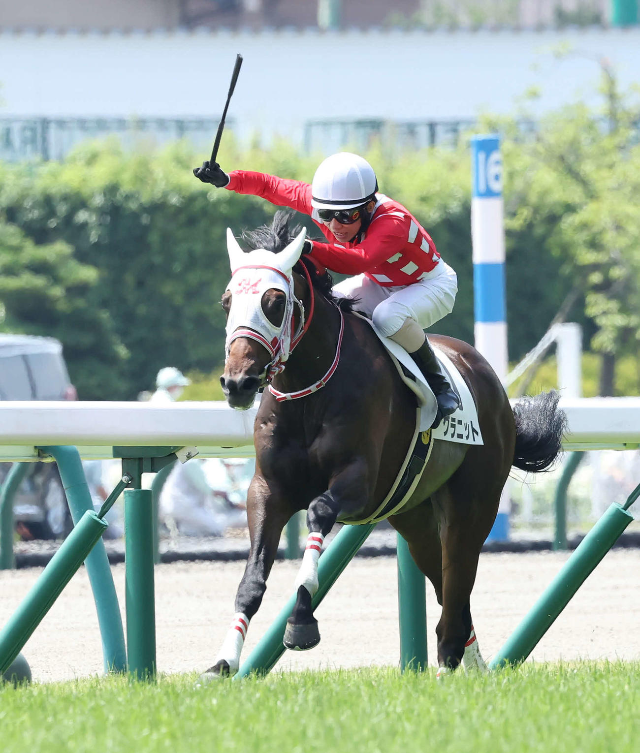 7月3日、未勝利戦を制したグラニット