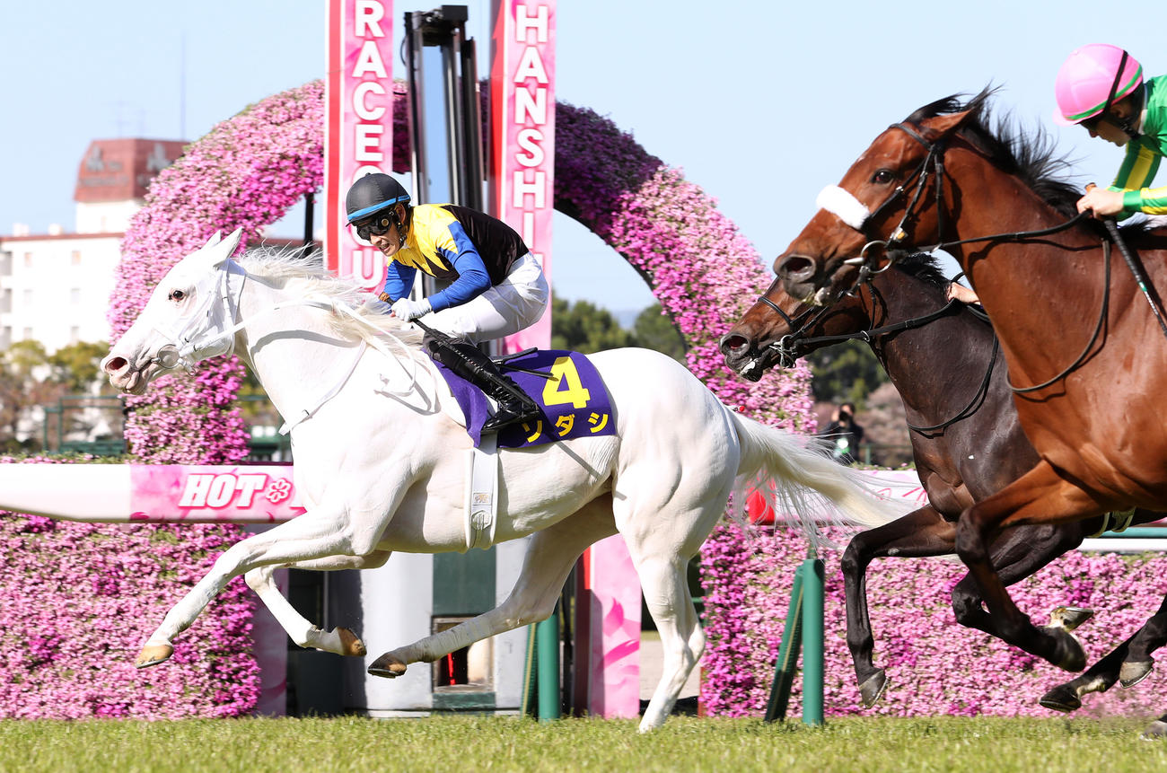 昨年の桜花賞を制したソダシ