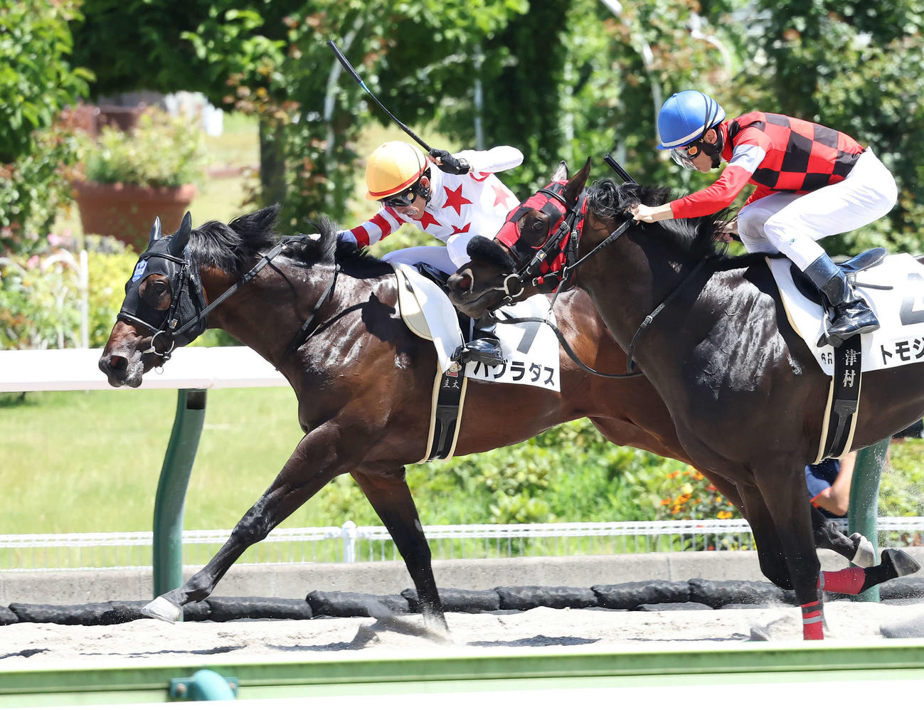 7月2日、福島でデビュー戦を制したバグラダス（左）