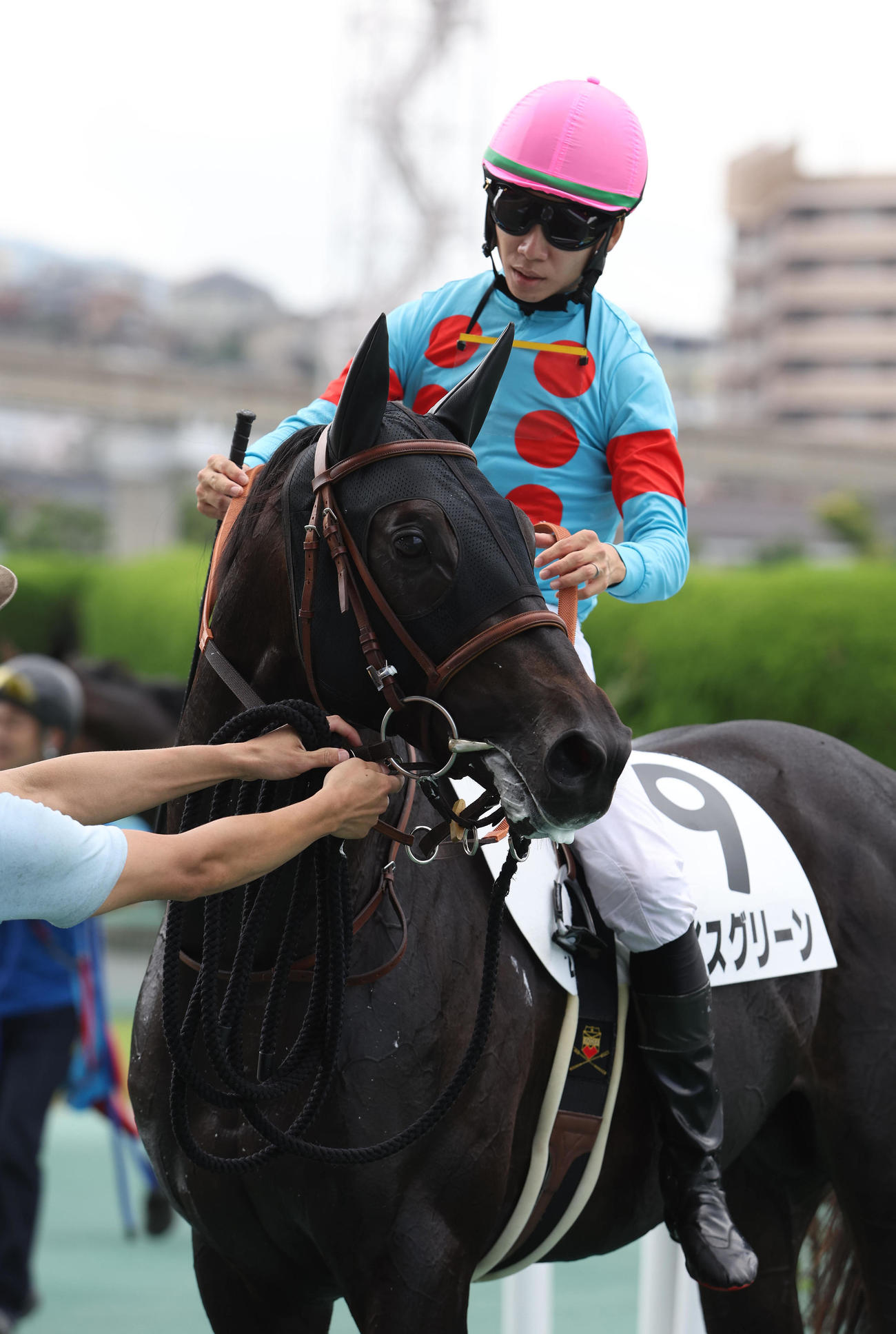 7月23日、小倉で未勝利戦を制し引き上げるアイスグリーン