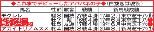これまでデビューしたアパパネの子