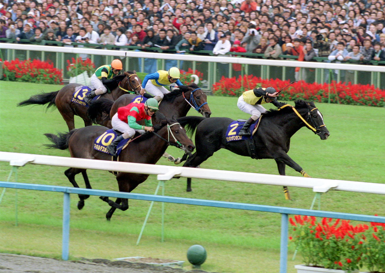2001年10月、菊花賞を制す蛯名正義騎手のマンハッタンカフェ（右）。奥から2頭目は3着エアエミネム