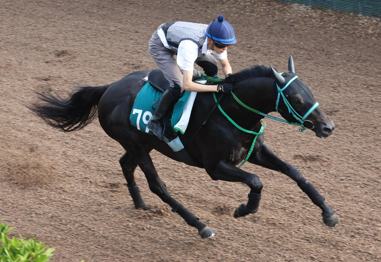 坂路で追い切るアイスグリーン