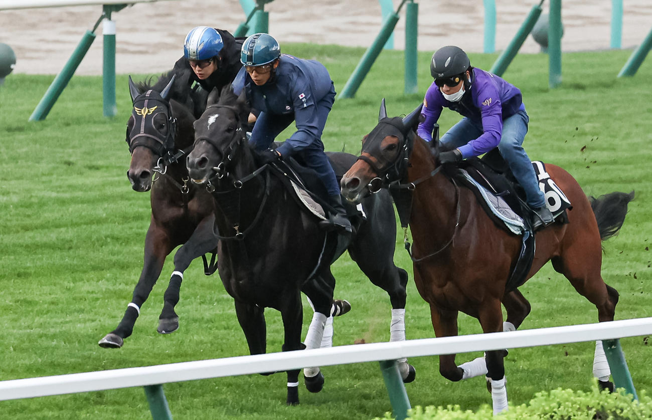札幌芝コースを併せ馬で追い切られるジュビリーヘッド（左）（撮影・村野早祐）