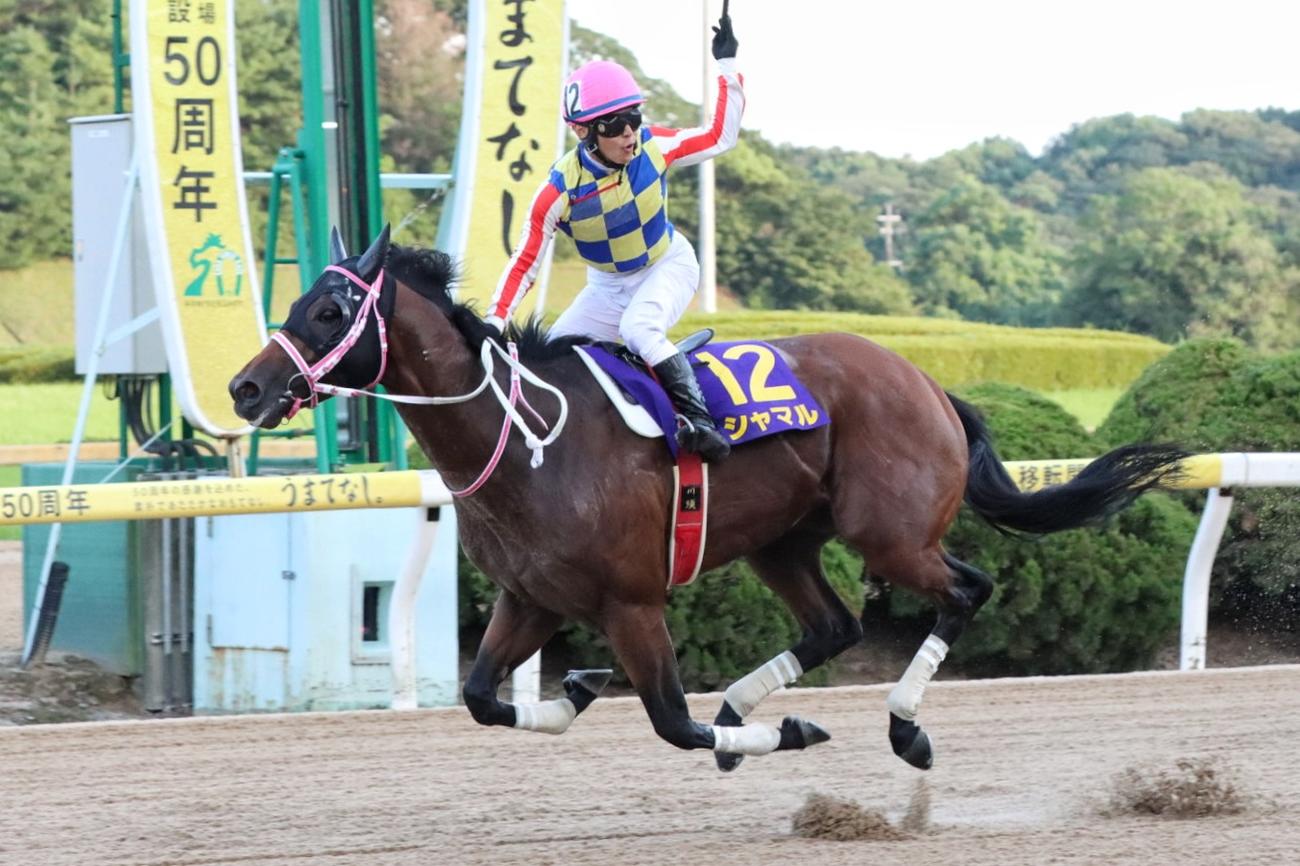 サマーチャンピオン初優勝を飾ったシャマルと川須騎手（佐賀県競馬組合提供）