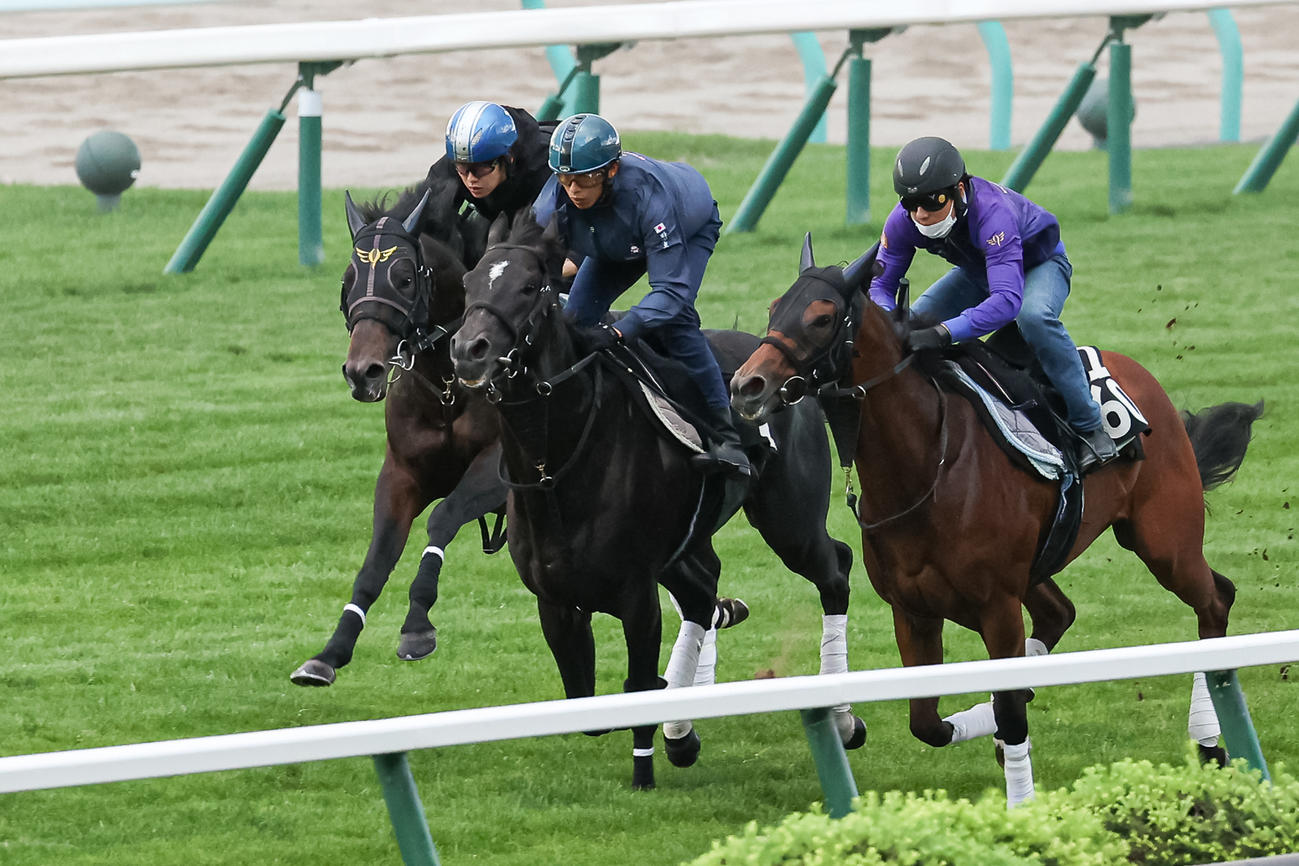 22年8月24日、札幌芝で併せ馬で追い切られるジュビリーヘッド（左）