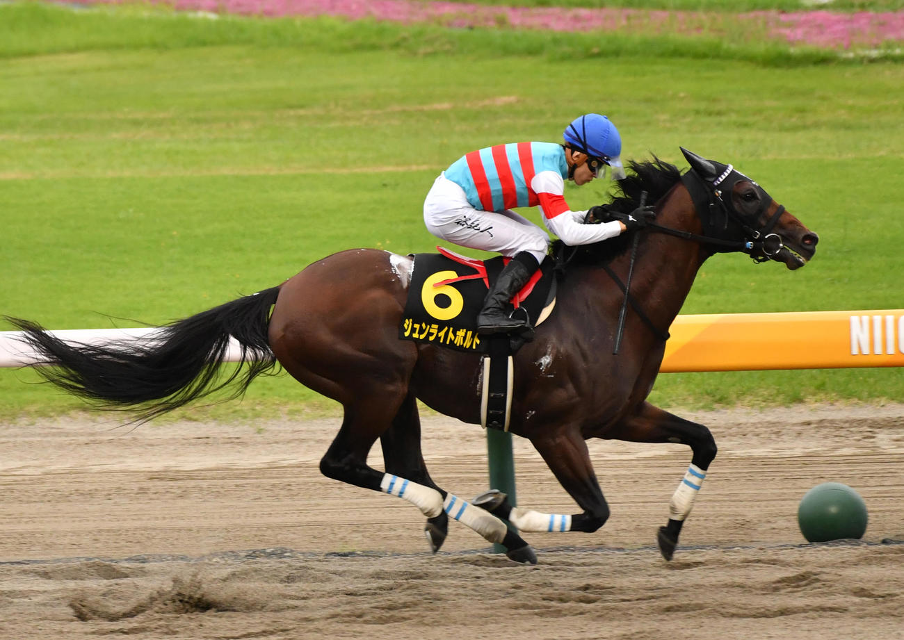 BSN賞を制したジュンライトボルトと石川騎手（撮影・柴田隆二）