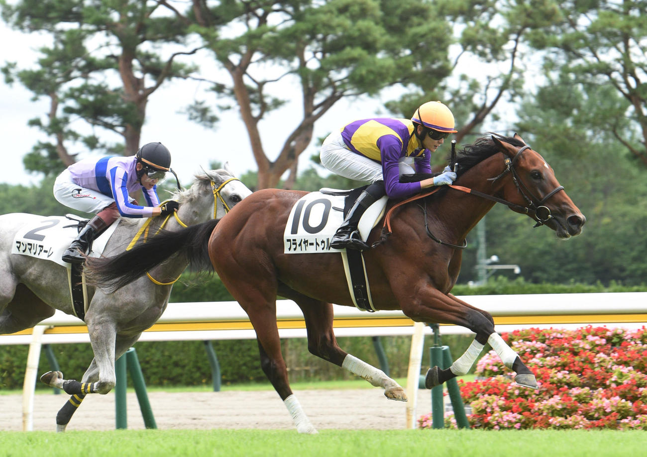 新馬戦を制したフライヤートゥルー（撮影・柴田隆二）