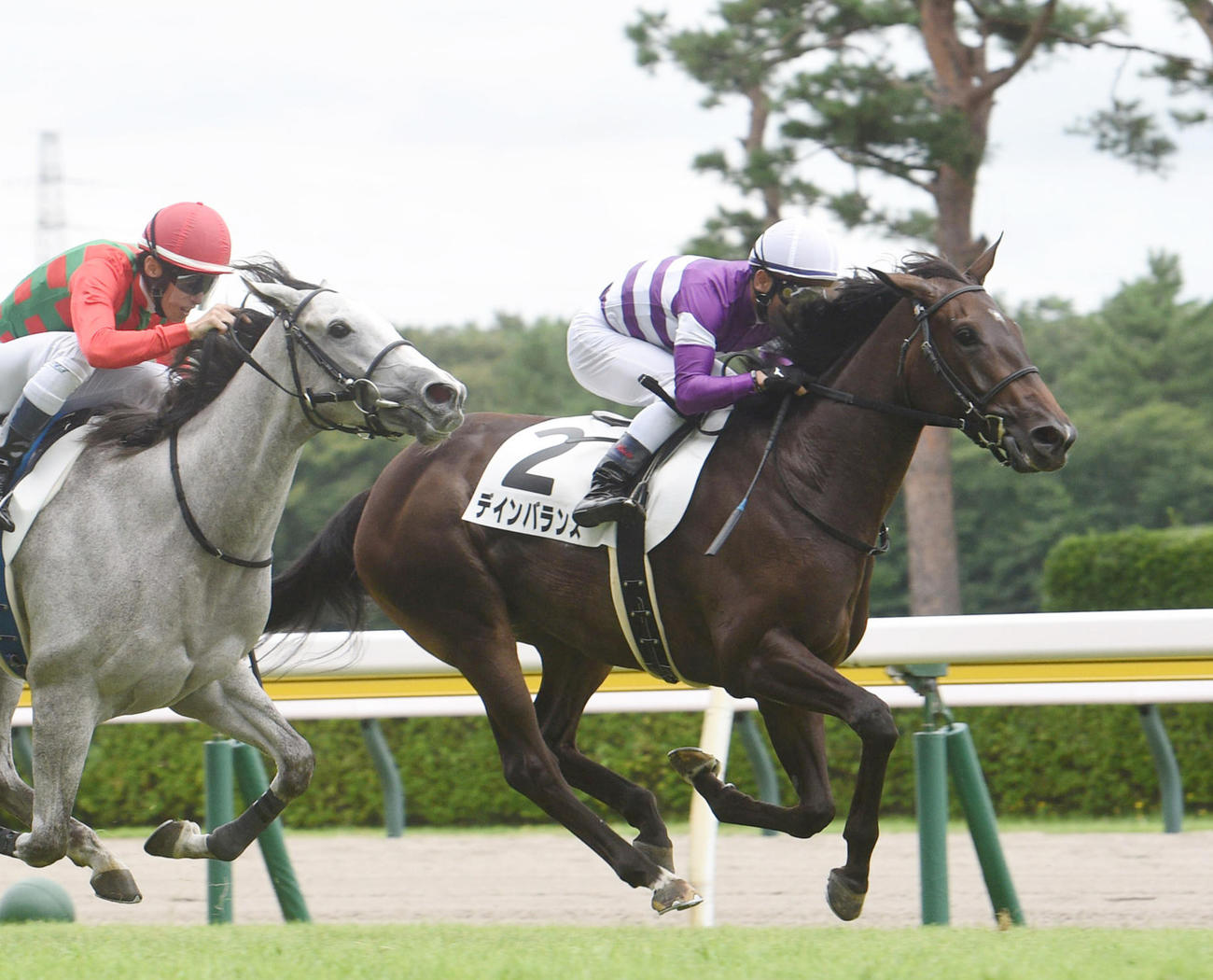 新馬戦を制したデインバランス（右）（撮影・柴田隆二）