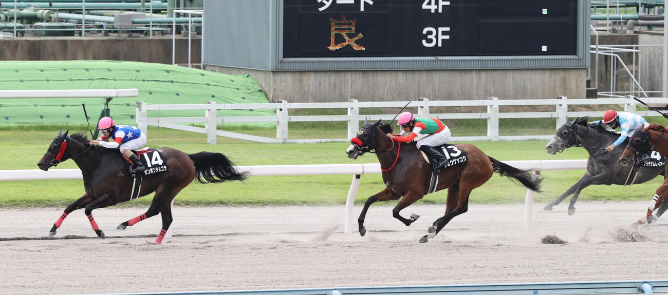 釜山Sを制したボンボンショコラと松若騎手（撮影・梅根麻紀）