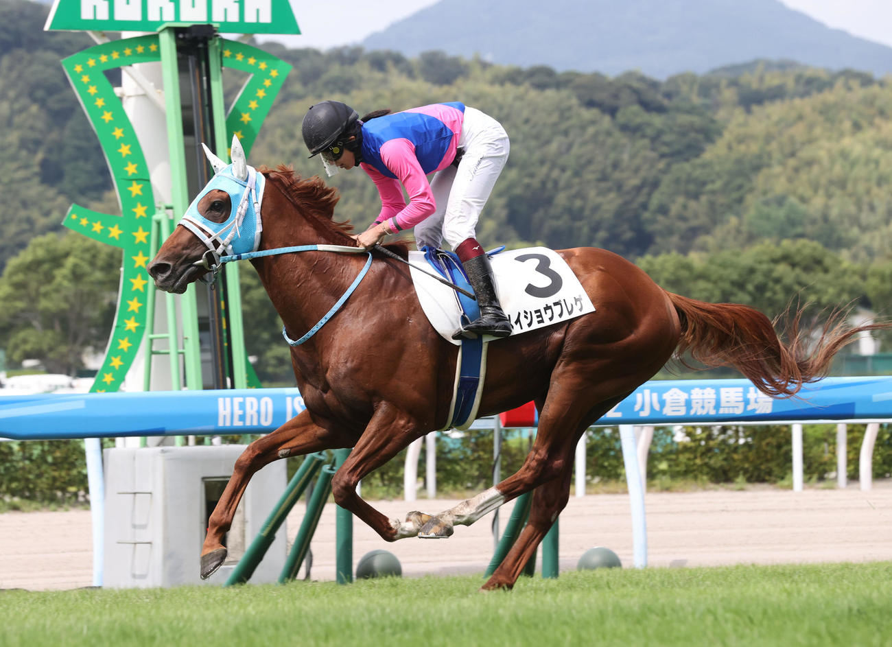 1着メイショウブレゲと今村聖奈騎手は馬群を抜け出し、後続を引き離してゴール（撮影・梅根麻紀）