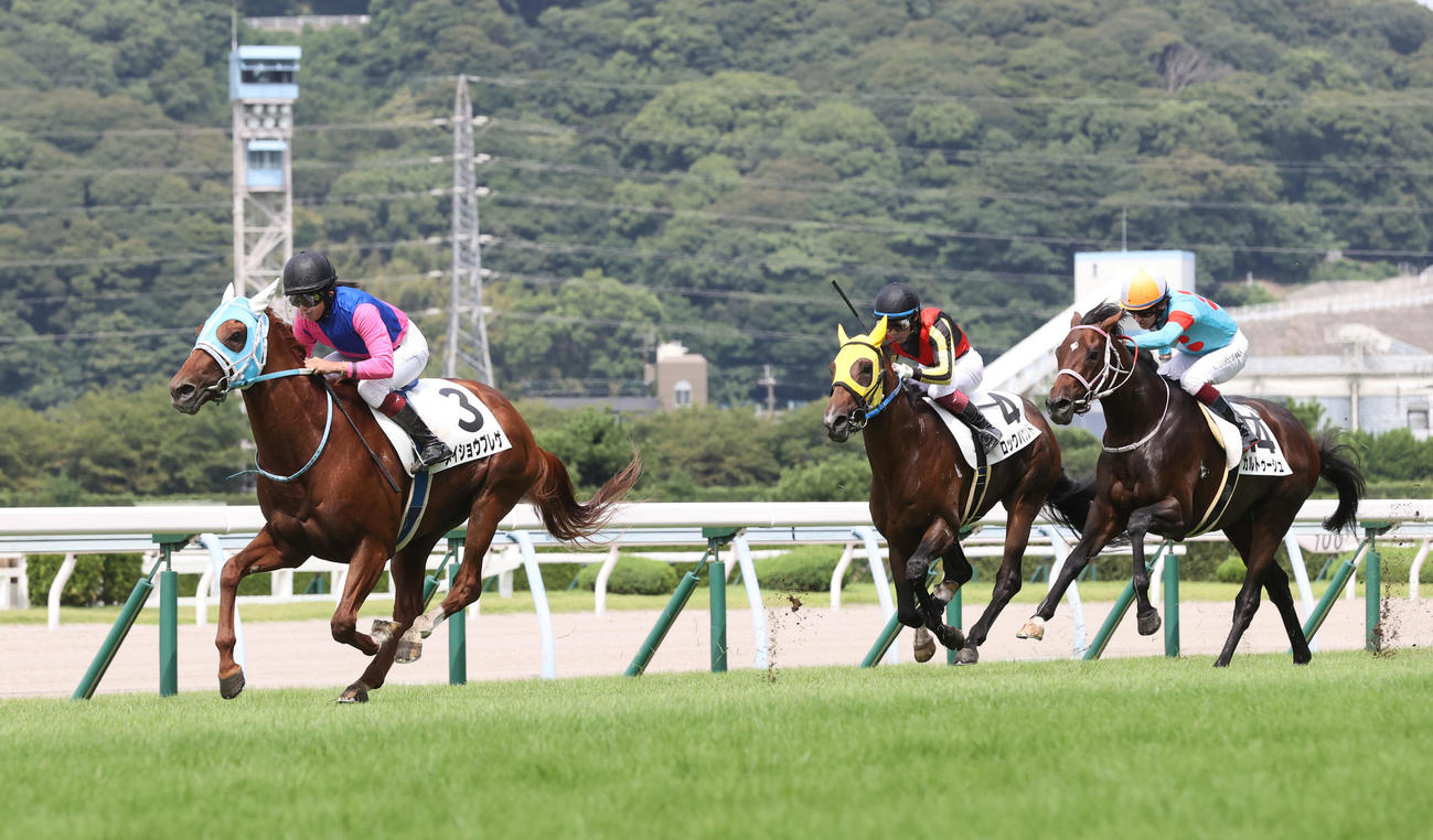 1着メイショウブレゲと今村聖奈騎手は馬群を抜け出し、後続を引き離してゴール（撮影・梅根麻紀）