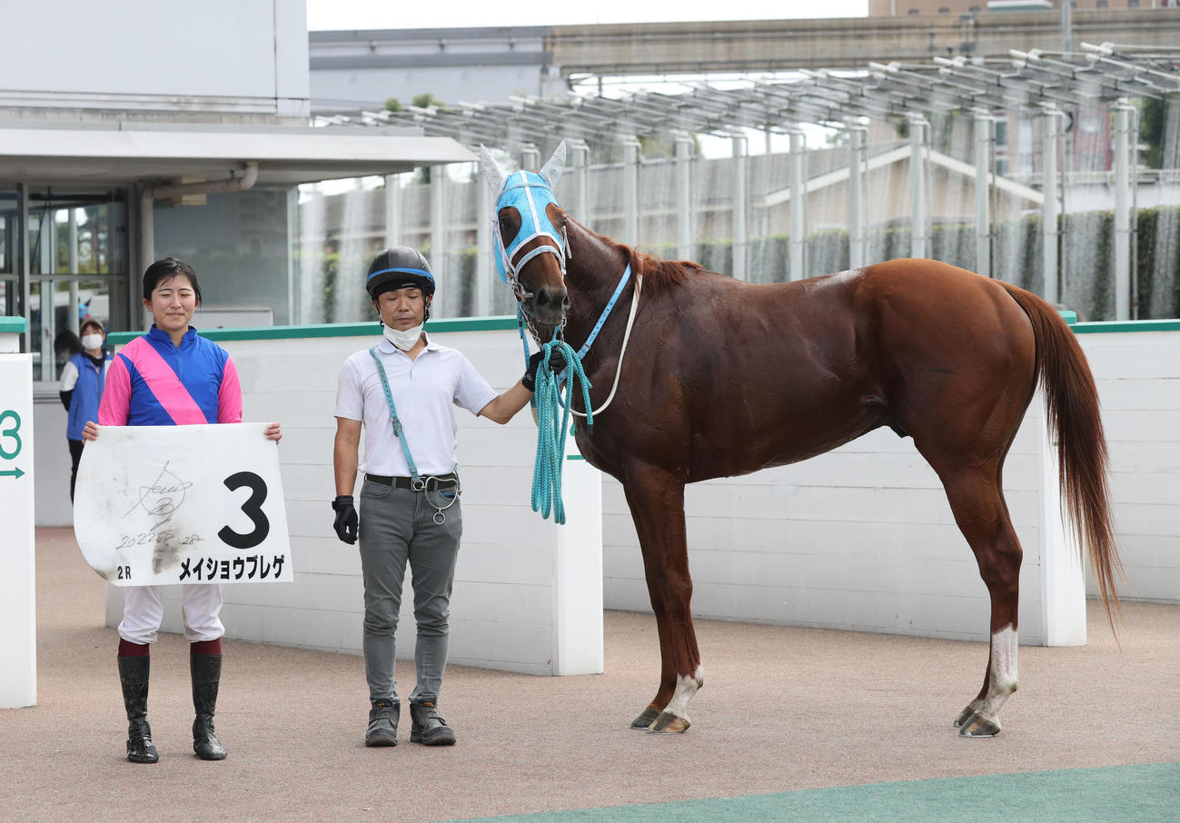 1着メイショウブレゲと今村聖奈騎手（撮影・梅根麻紀）