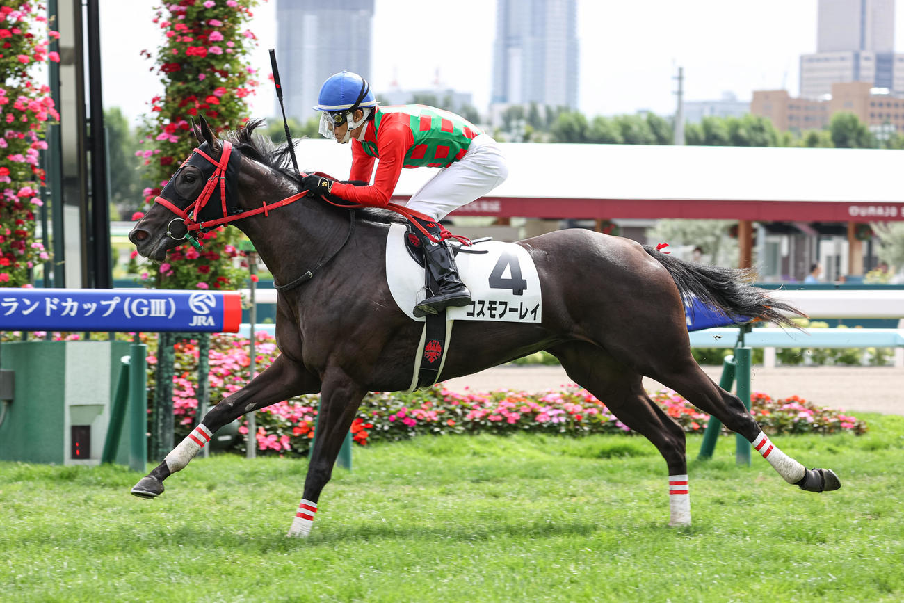 札幌1R、2歳未勝利を制したコスモフーレイ（撮影・村野早祐）
