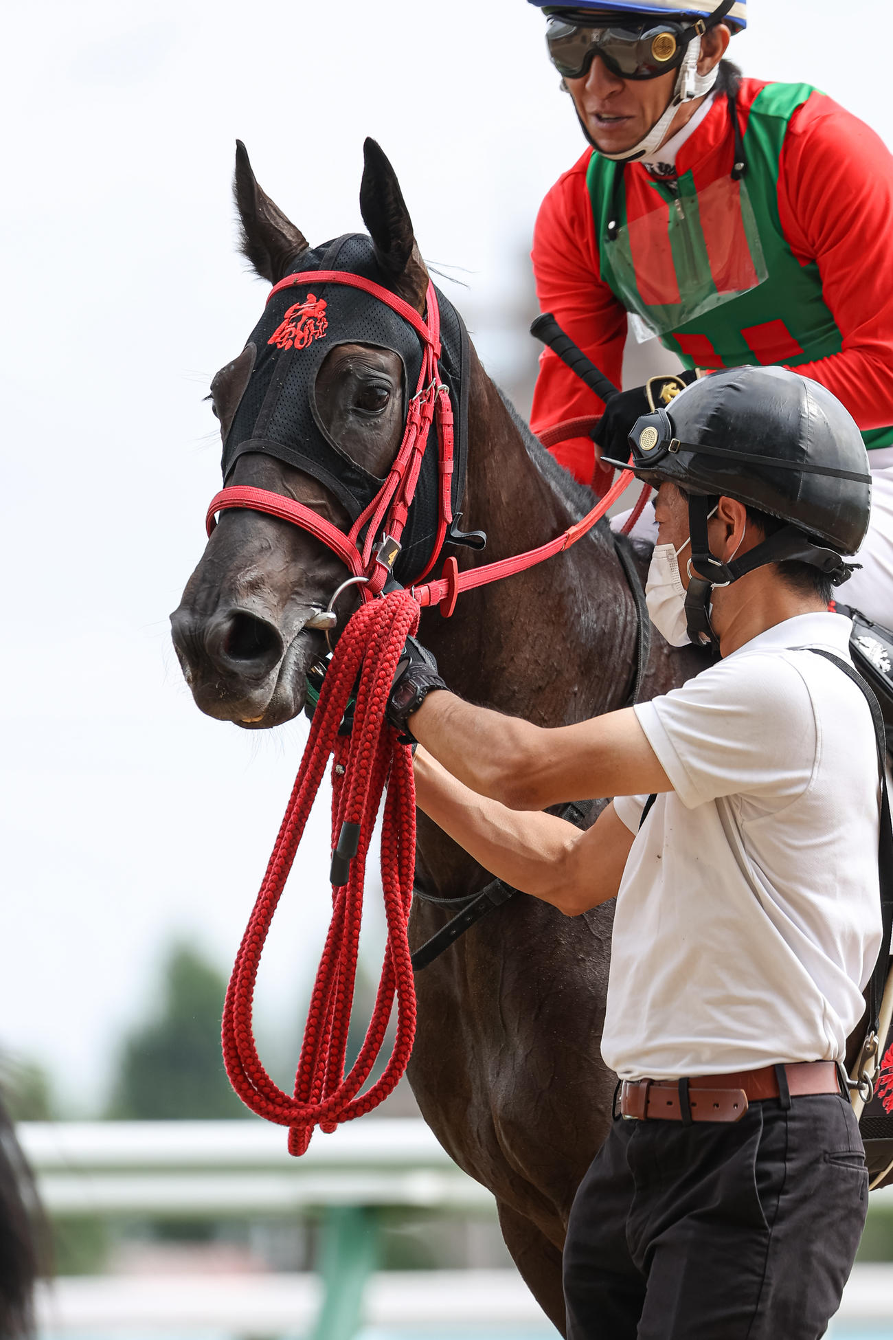 札幌1R　未勝利戦を勝ったコスモフーレイと丹内騎手（撮影・村野早祐）