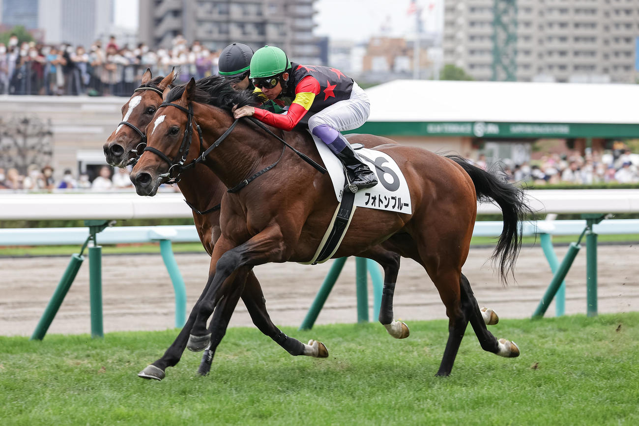 デビュー戦を制したフォトンブルー（撮影・村野早祐）